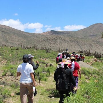 SENDERO Alianza entre CONAF, CONADI y comunidad de Jaiña impulsa turismo con identidad territorial