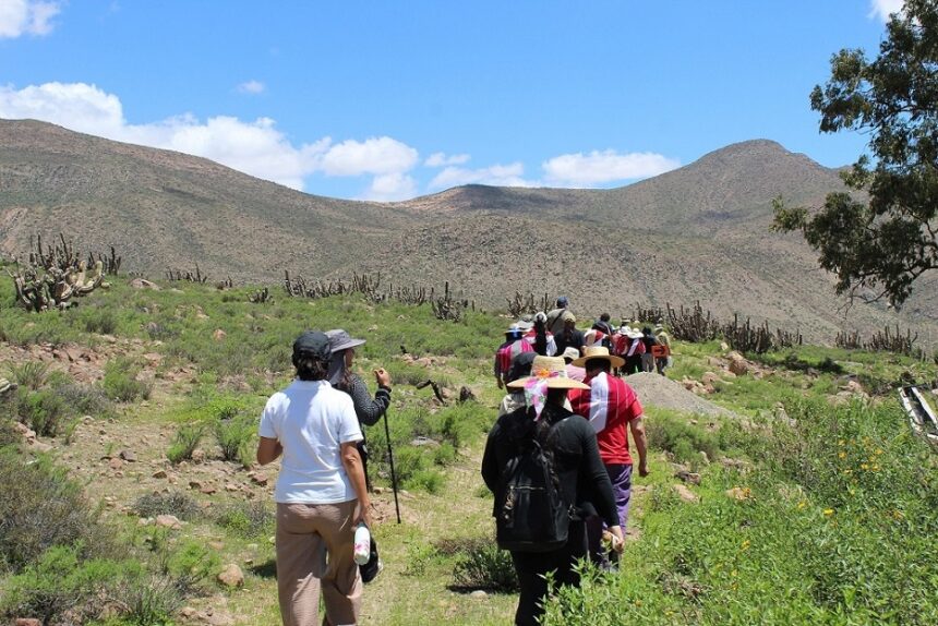 SENDERO Alianza entre CONAF, CONADI y comunidad de Jaiña impulsa turismo con identidad territorial