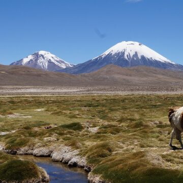 Seminario internacional impulsa el estudio profundo del idioma aymara: “Las palabras de los Andes despiertan”