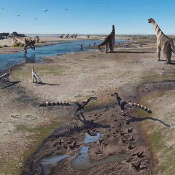 ilustracion nahuel vasquez Huellas de dinosaurios en Tarapacá, reescriben el registro paleontológico chileno