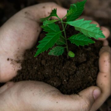 pexels-ian-panelo-7538360 Día de la Tierra 2026: nuestro poder, nuestro planeta