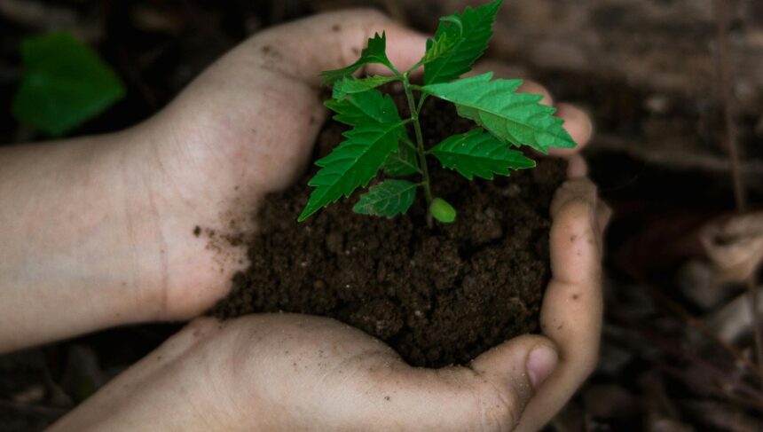 pexels-ian-panelo-7538360 Día de la Tierra 2026: nuestro poder, nuestro planeta
