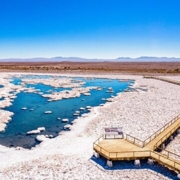 salar de llamara propia Estudio señala que microorganismos del Salar de Llamara podrían ayudar a detectar vida en otros planetas