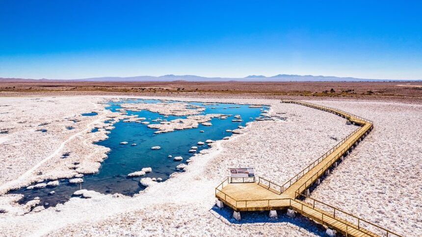 salar de llamara propia Estudio señala que microorganismos del Salar de Llamara podrían ayudar a detectar vida en otros planetas