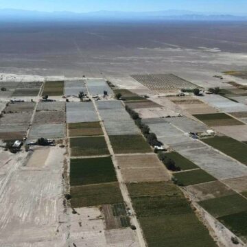 Preparar el terreno para lo que vendrá: Tarapacá potencia agrícola, no sólo minera