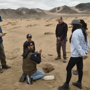 02 micro organism Crean colecciones de microorganismos para abordar desafíos de biomedicina, minería verde y agricultura del desierto